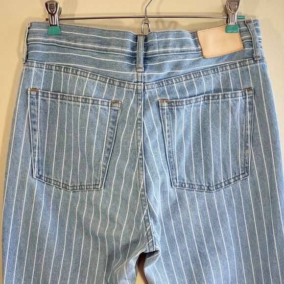 Everlane 90's Cheeky Straight Jean Stripe Ankle Light Wash Size 28 - Picture 6 of 11